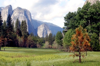 Yosemite National Park, Cathedral Rock
