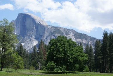 Half Dome From Cook's Meadow